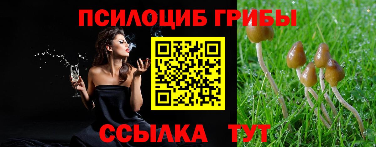 Псилоцибиновые грибы мухоморы Вичуга